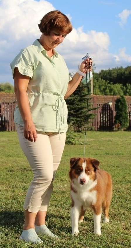 «Белла»