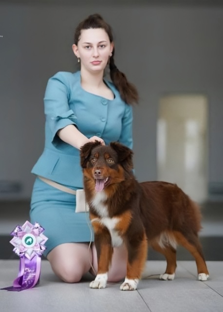 «Роза»
